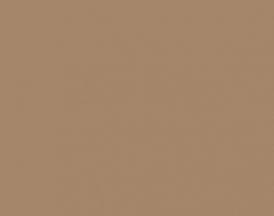 SF-9019 Sienna Brown