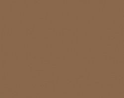SF-9020 Cinnamon
