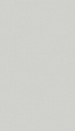 2013-White Dream