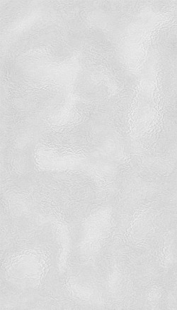 4039-Crystal Clear