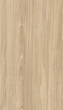 3007-Wyoming Maple