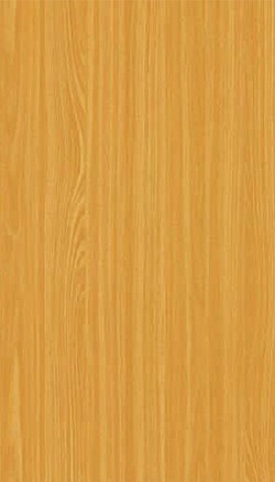 3041-Beech