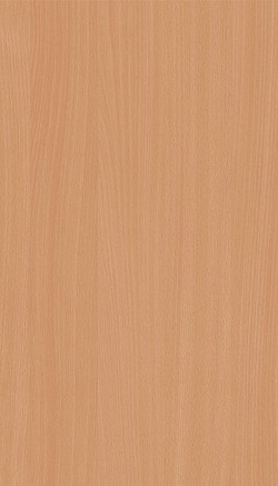 3043-Bavarian Beech