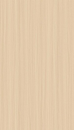 3045-Rochelle Light