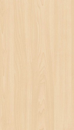 3047-Ivory Maple