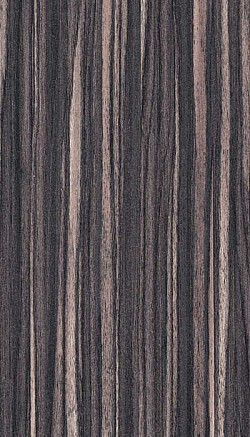 3057-Perry Walnut