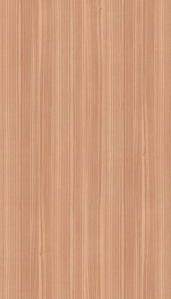 3069-Olive Ash