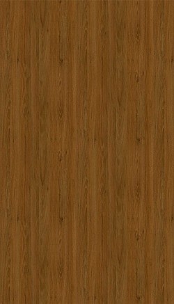3075-Salinas Oak
