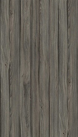 3089-Dark Asiatic