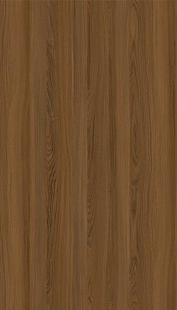 3094-Dream Elm
