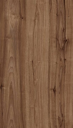 3103-Sylvan Walnut