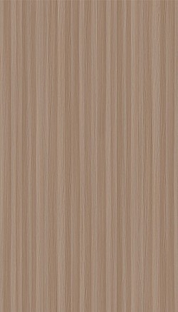 3119-Caffe Latte